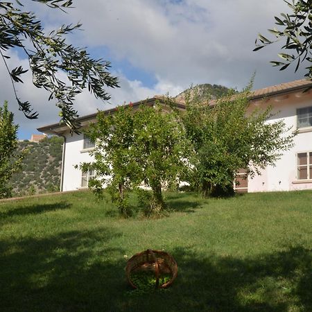 B&B Macchia D'Olmo Capaccio Εξωτερικό φωτογραφία