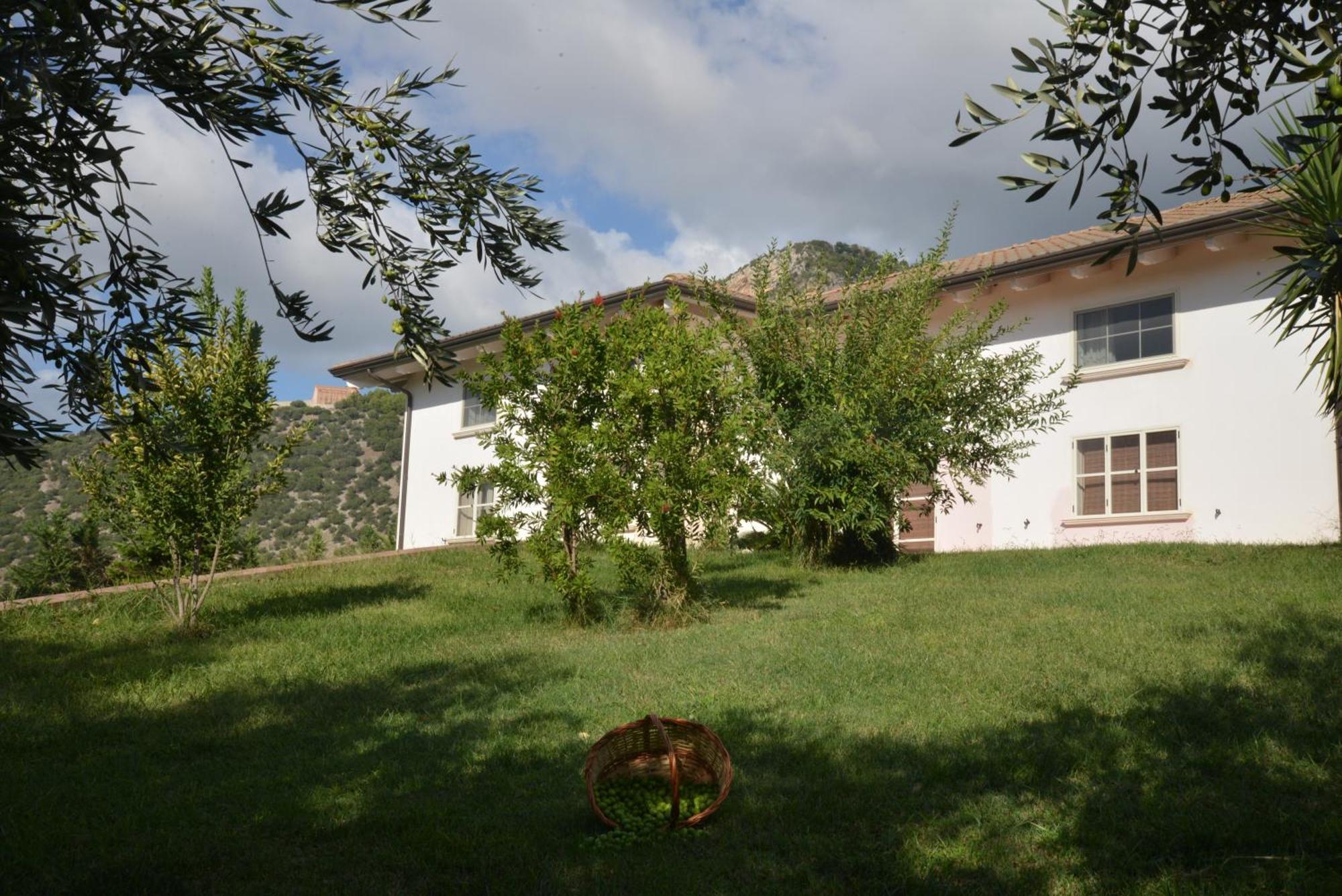 B&B Macchia D'Olmo Capaccio Εξωτερικό φωτογραφία
