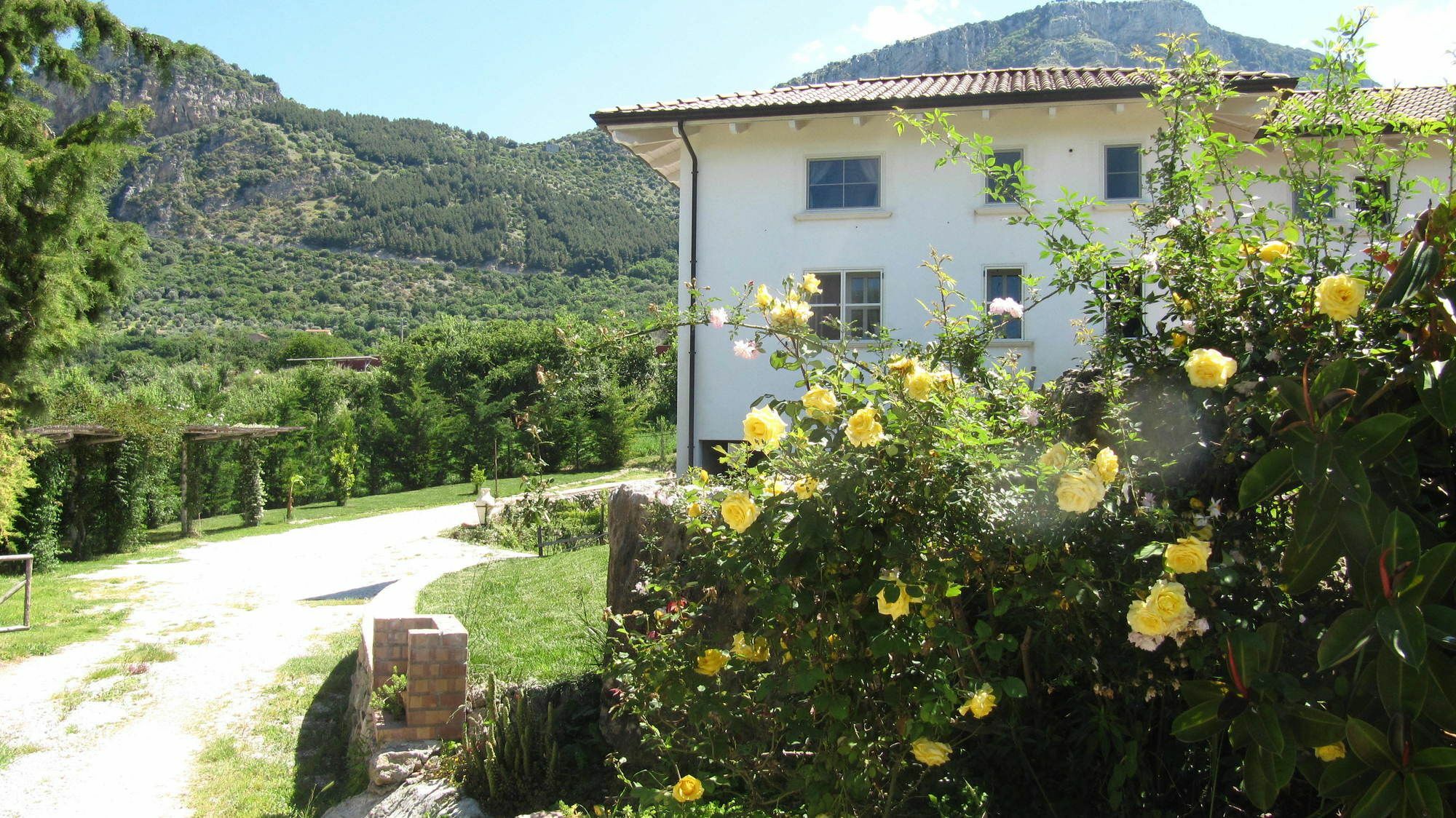 B&B Macchia D'Olmo Capaccio Εξωτερικό φωτογραφία