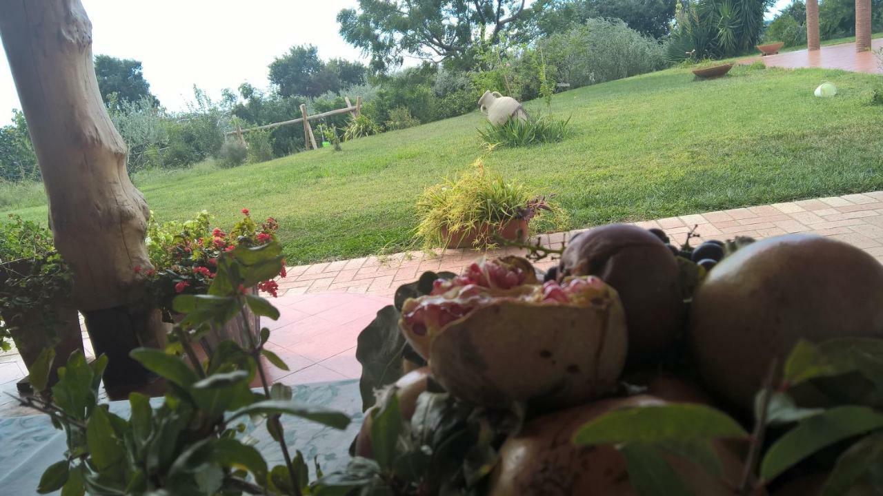 B&B Macchia D'Olmo Capaccio Εξωτερικό φωτογραφία