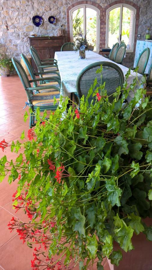 B&B Macchia D'Olmo Capaccio Εξωτερικό φωτογραφία