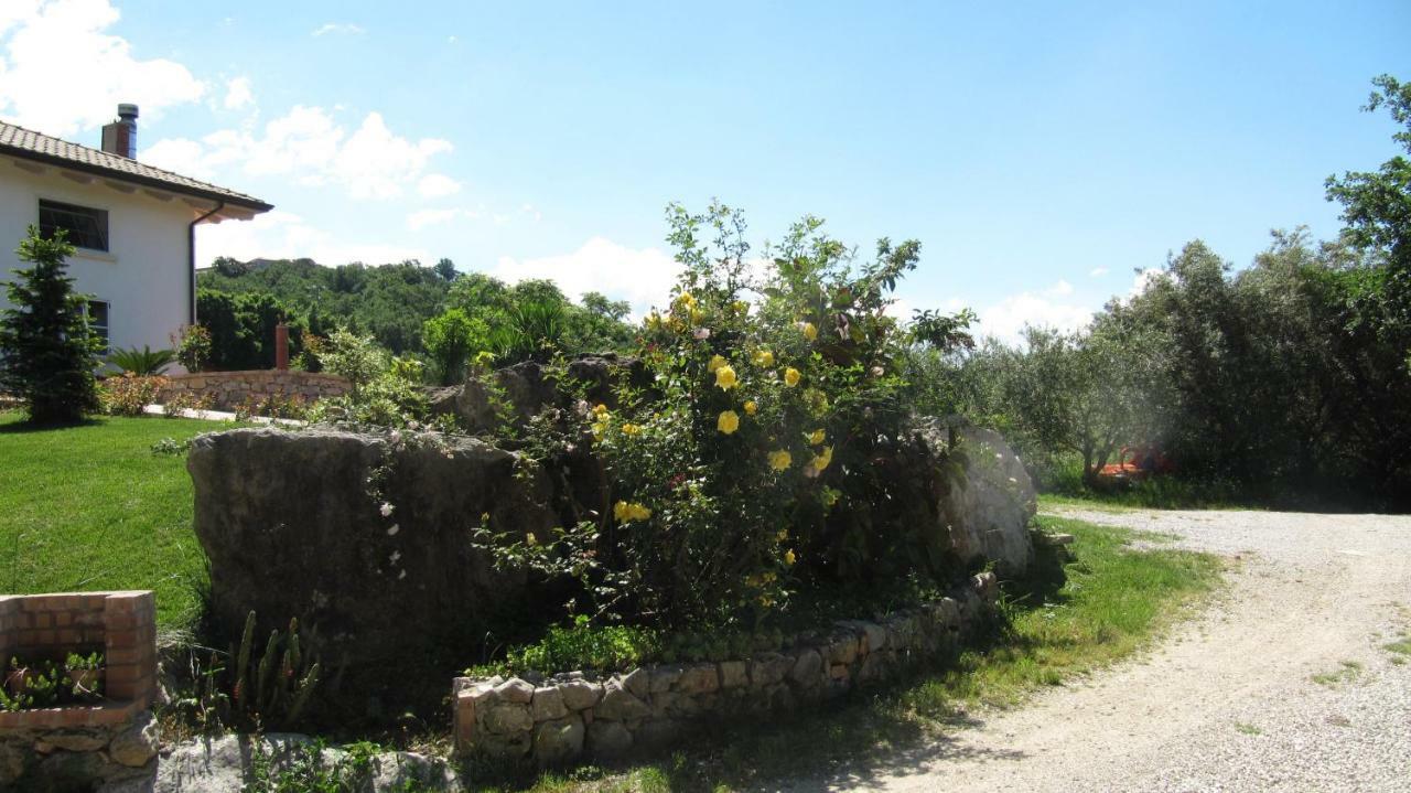 B&B Macchia D'Olmo Capaccio Εξωτερικό φωτογραφία