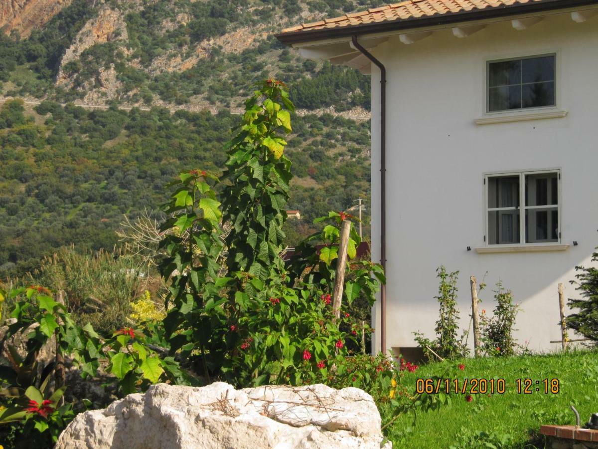 B&B Macchia D'Olmo Capaccio Εξωτερικό φωτογραφία