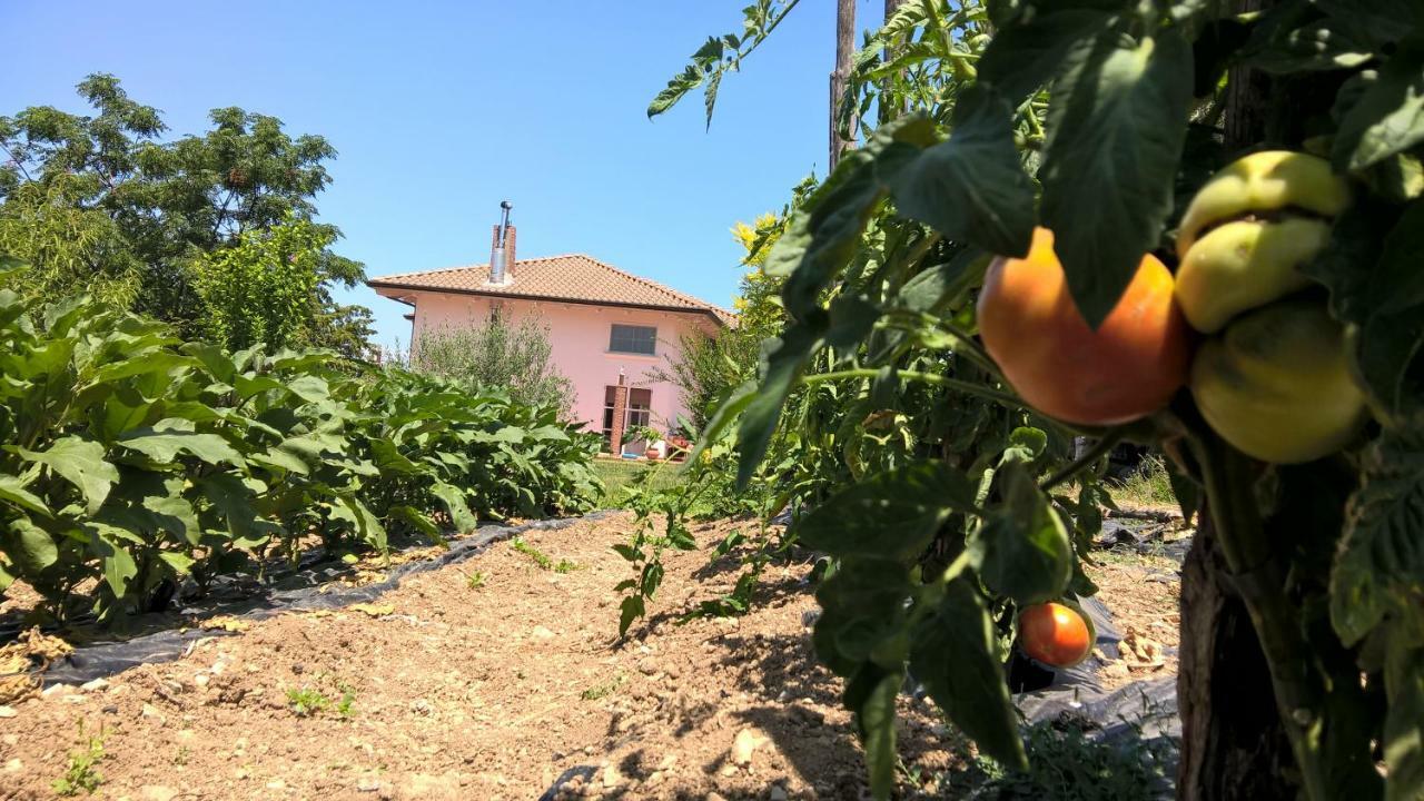 B&B Macchia D'Olmo Capaccio Εξωτερικό φωτογραφία