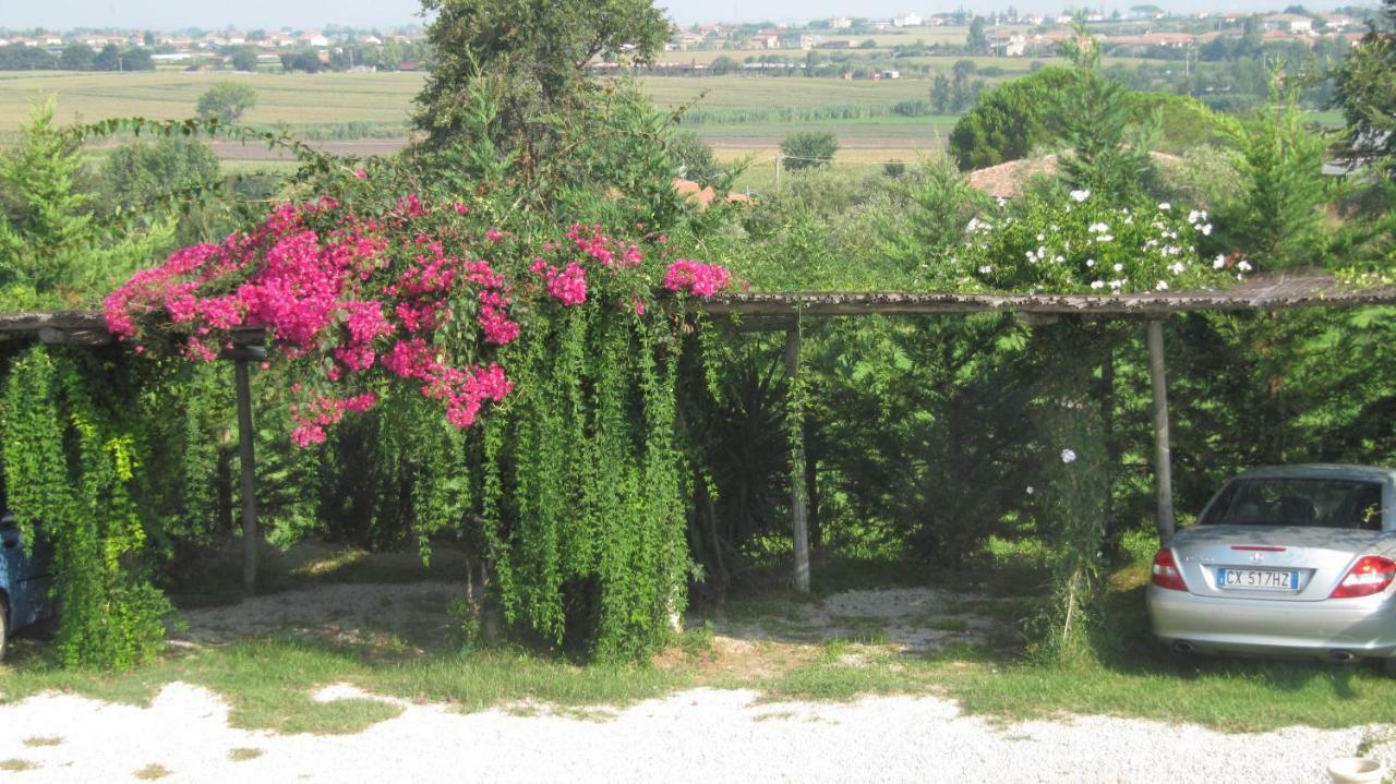 B&B Macchia D'Olmo Capaccio Εξωτερικό φωτογραφία