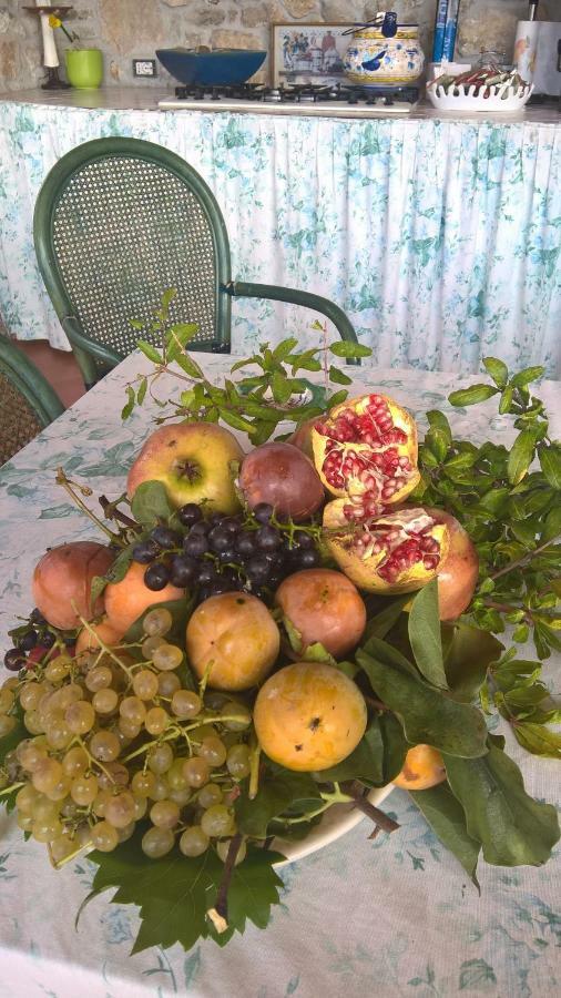 B&B Macchia D'Olmo Capaccio Εξωτερικό φωτογραφία