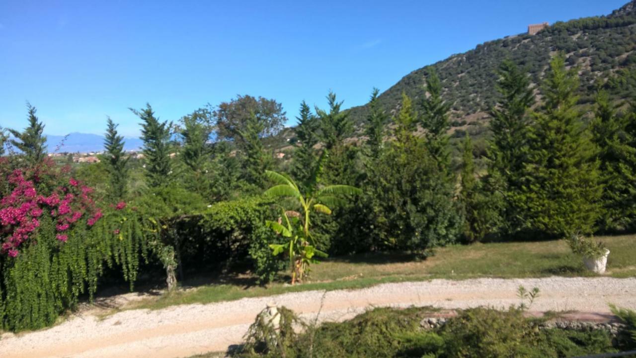 B&B Macchia D'Olmo Capaccio Εξωτερικό φωτογραφία
