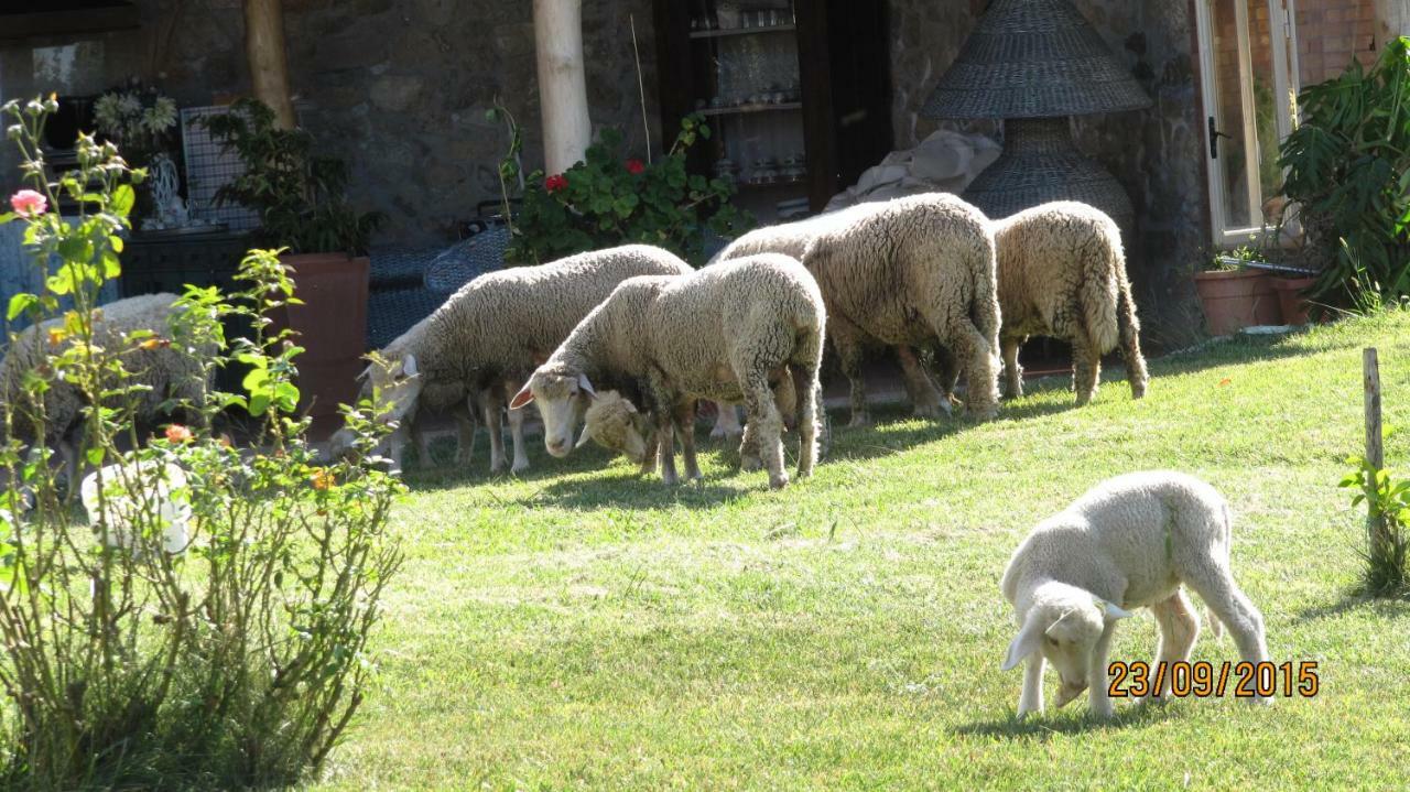 B&B Macchia D'Olmo Capaccio Εξωτερικό φωτογραφία