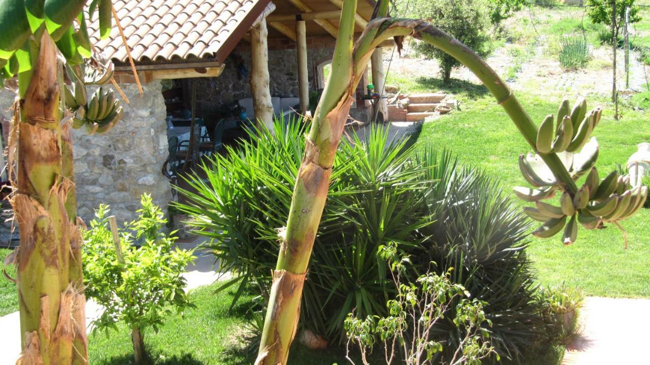 B&B Macchia D'Olmo Capaccio Εξωτερικό φωτογραφία