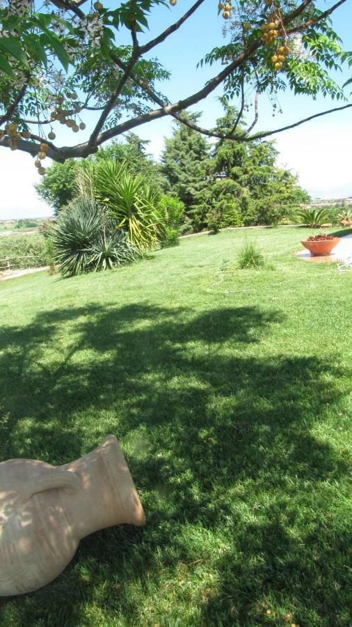 B&B Macchia D'Olmo Capaccio Εξωτερικό φωτογραφία
