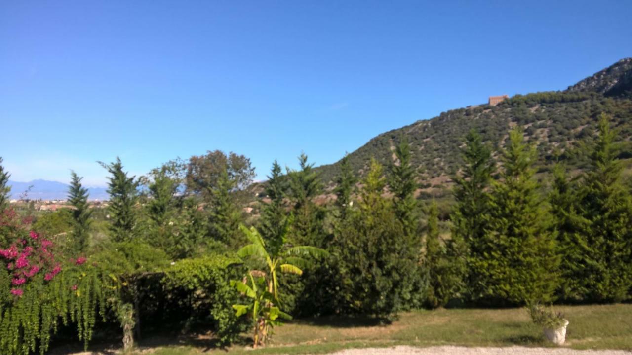 B&B Macchia D'Olmo Capaccio Εξωτερικό φωτογραφία